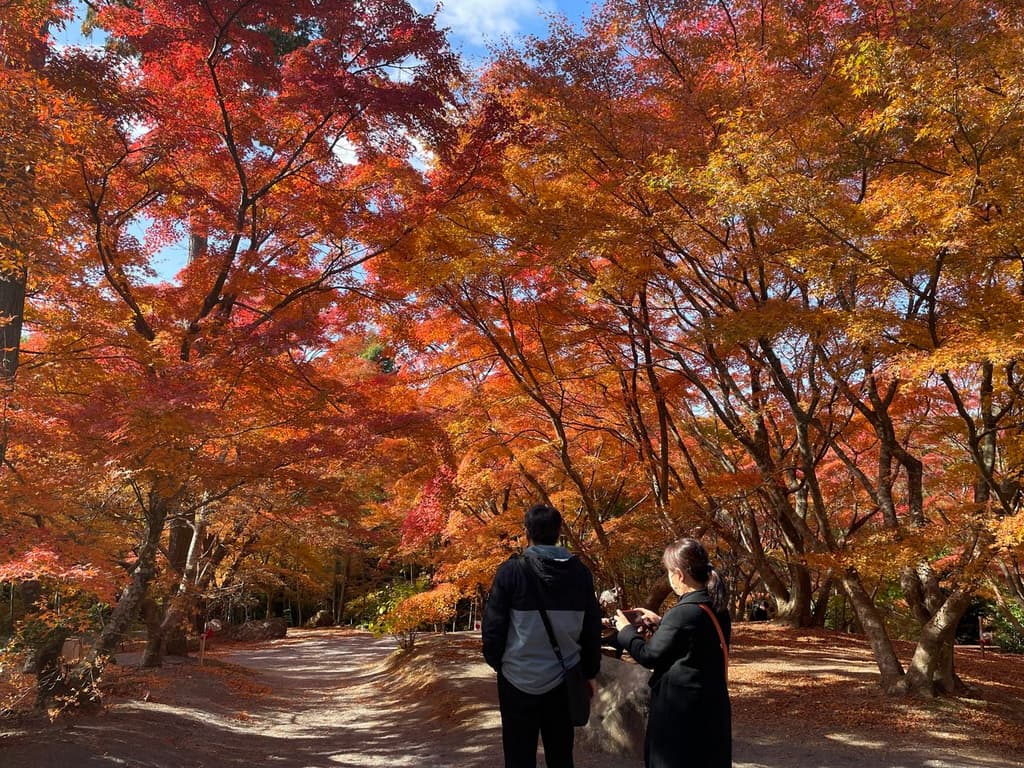 三十路苑の紅葉