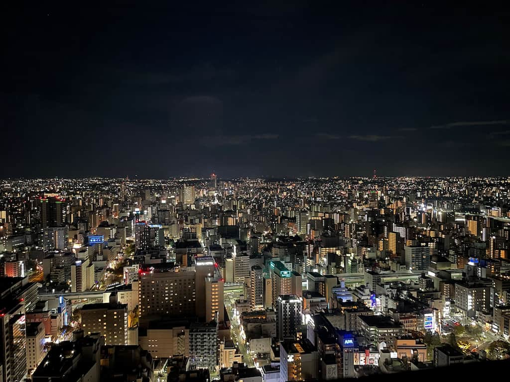 ザ ロイヤルパークホテル アイコニック 名古屋 スーペリアツインルーム 夜景