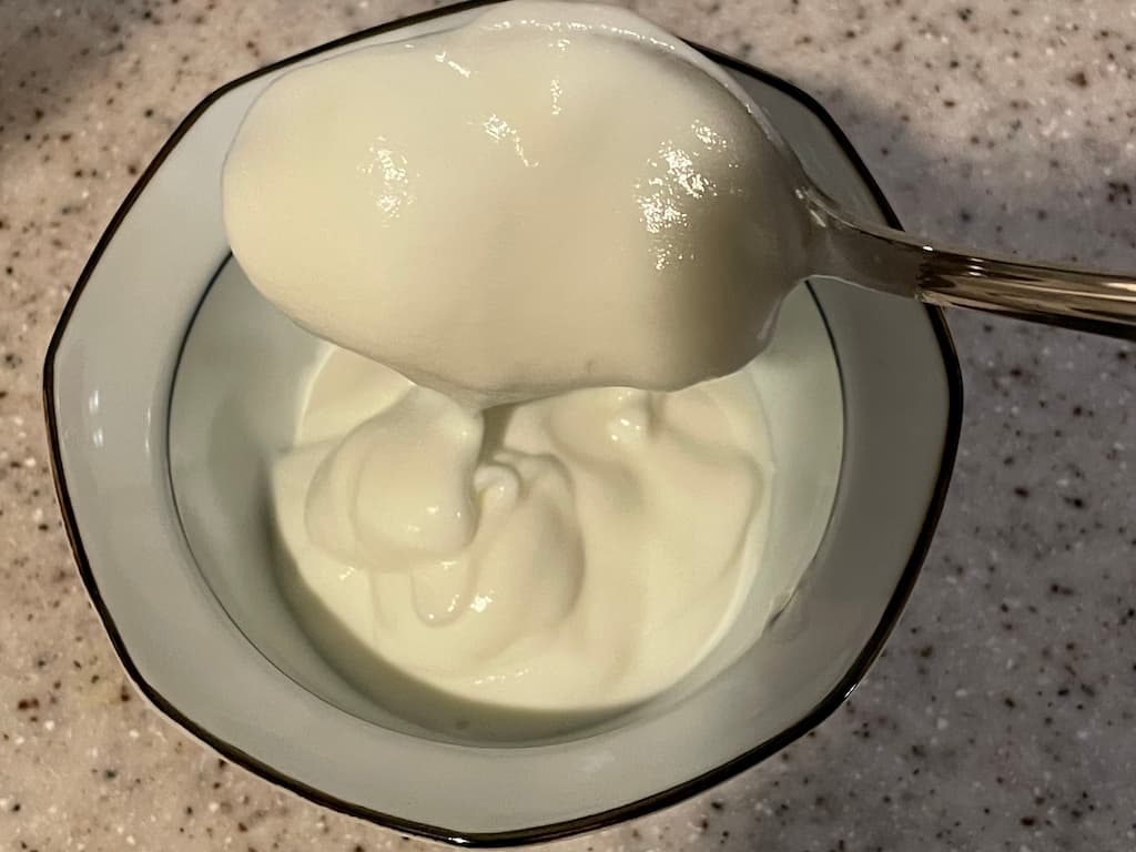 岩泉ヨーグルトを器に盛った写真。スプーンですくうと弾力のあるもちもち食感が伝わる。