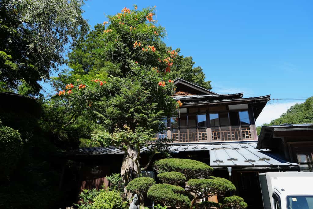 大沢温泉湯治屋の外観と植栽。複数の建物が入り組み、懐かしい情緒を感じる